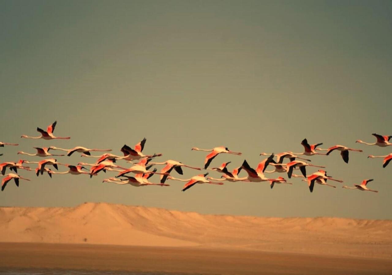 Paraiso Dakhla Buitenkant foto